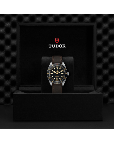 Tudor Black Bay Fifty-Eight 39 mm steel case, Brown leather strap (watches)